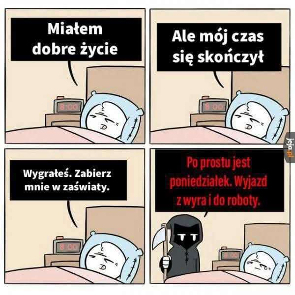 1000004317.jpg