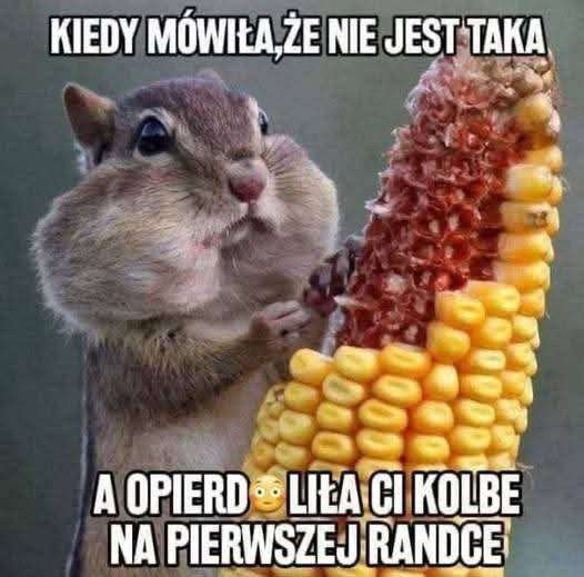 1000001907.jpg