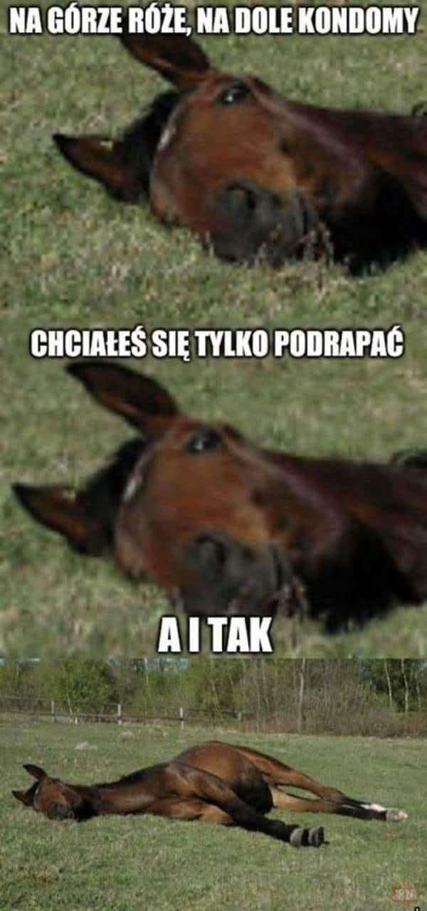 FB_IMG_1745761376697.jpg