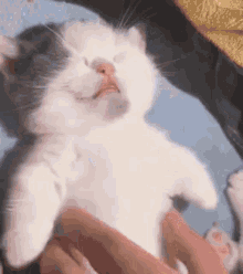 tenor_gif8593612456330307155.gif