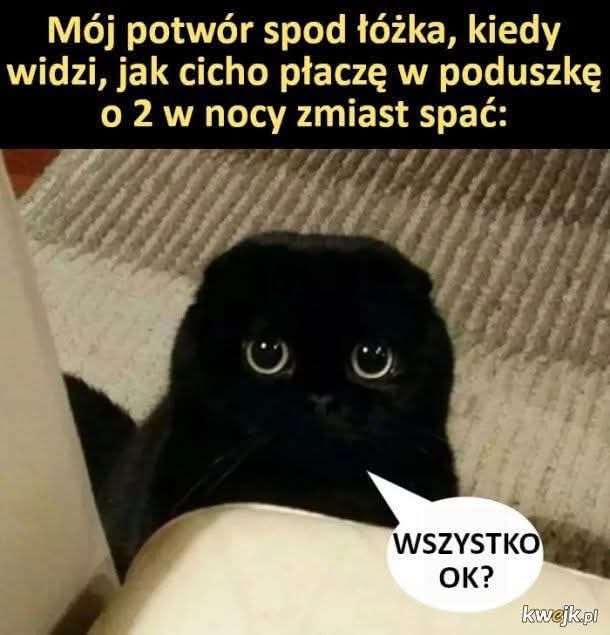 1000001294.jpg