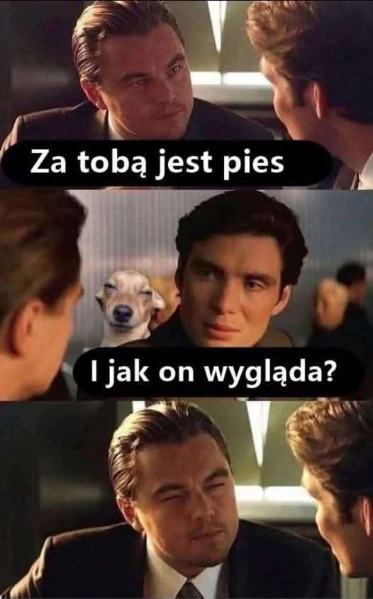 1000001731.jpg