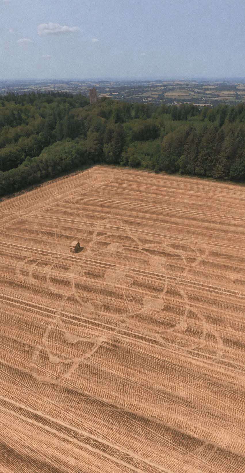 1000004697.jpg