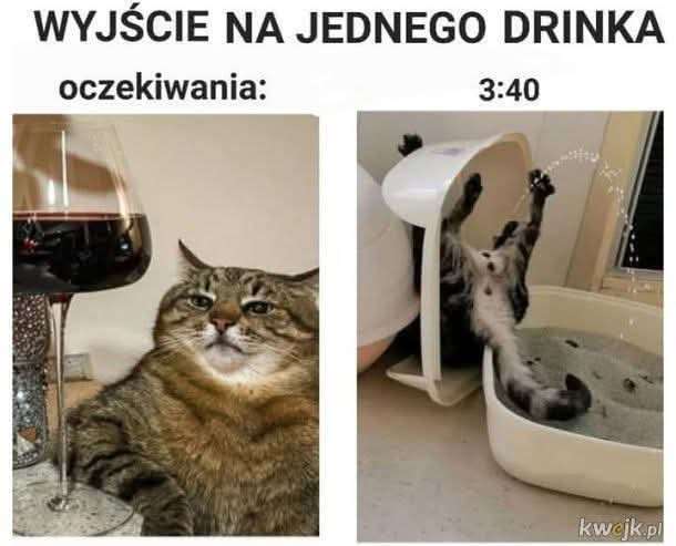 1000001310.jpg