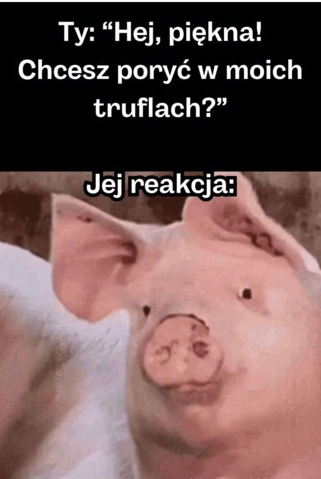 1000001770.jpg