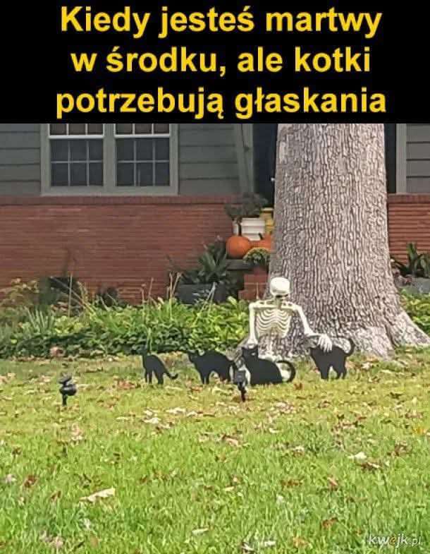 1000001820.jpg