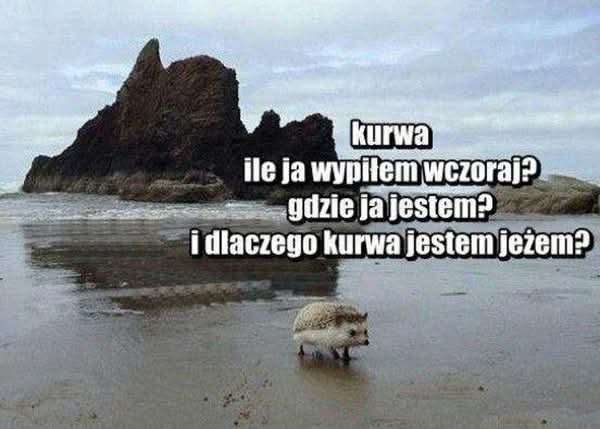 1000001419.jpg