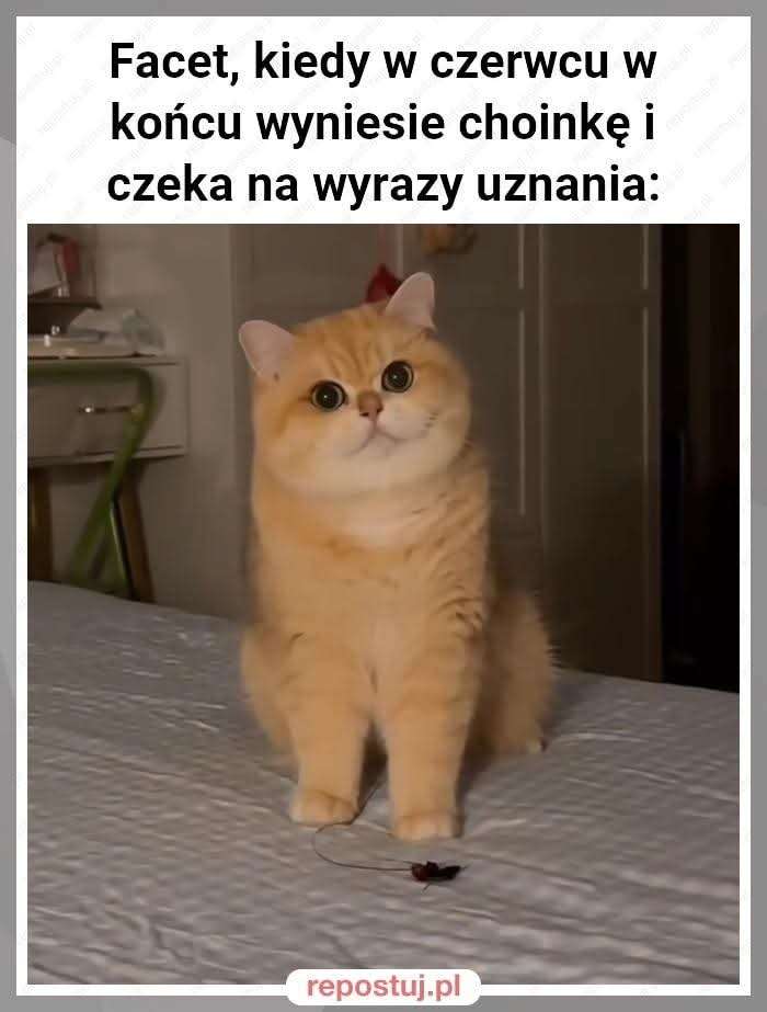 FB_IMG_1750097538768.jpg