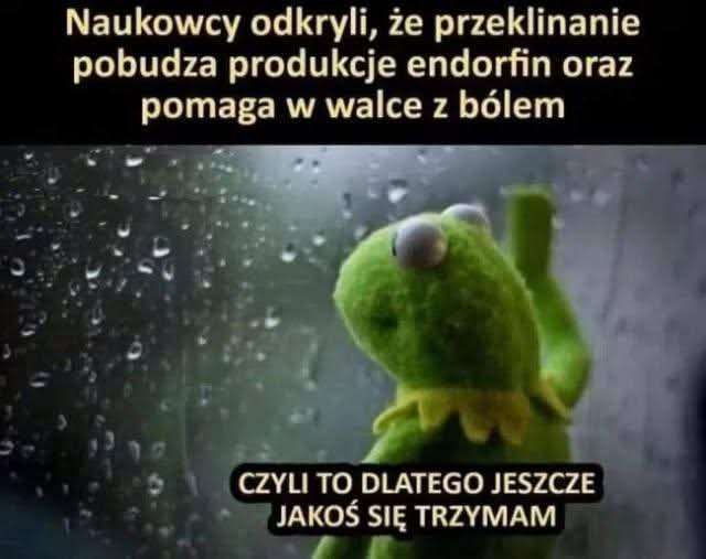 FB_IMG_1745687599633.jpg