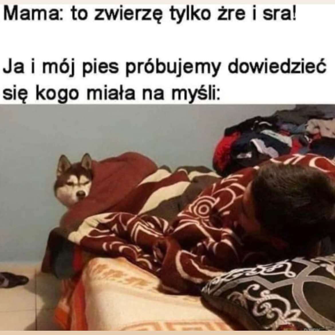 1000001831.jpg