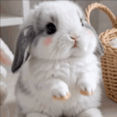 tenor_gif4260694971591840225.gif