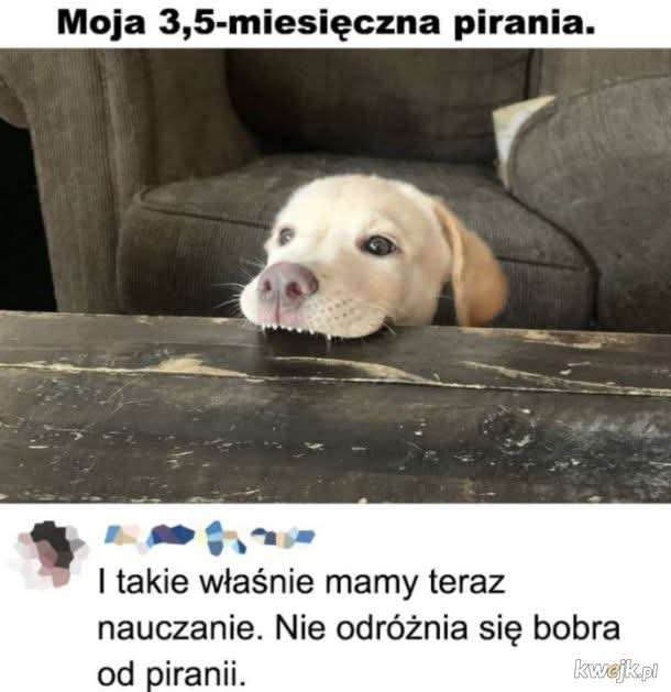 1000001321.jpg